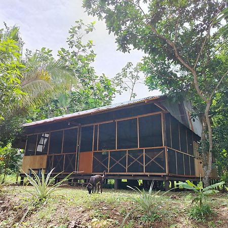 Don Jaime - Hostel Puerto Maldonado Zewnętrze zdjęcie