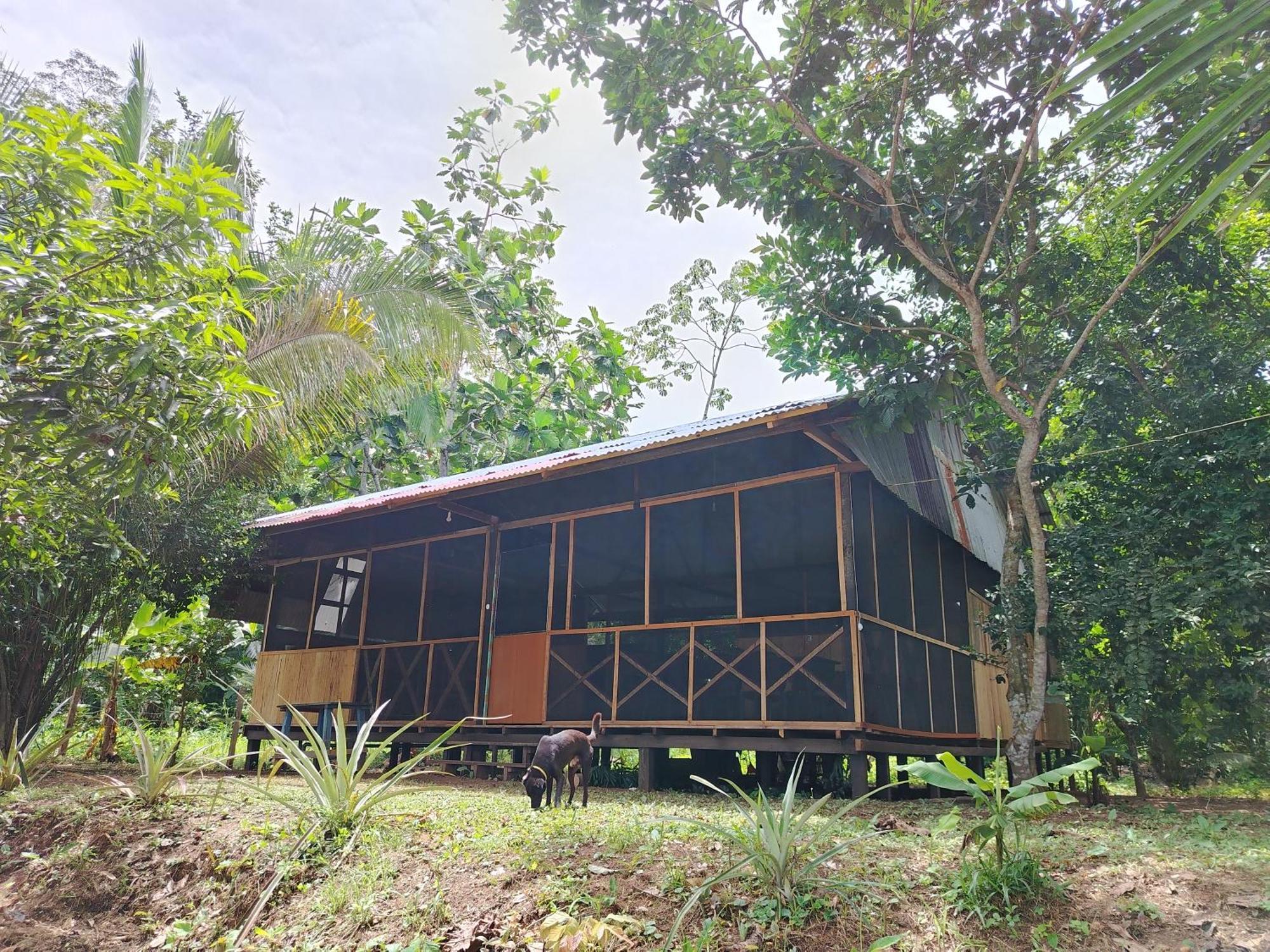 Don Jaime - Hostel Puerto Maldonado Zewnętrze zdjęcie